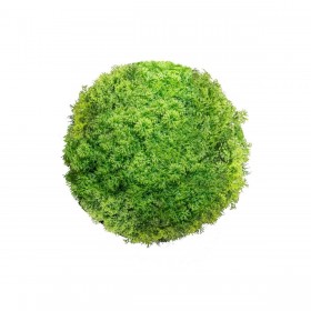 Pianta Decorativa   Sfera Muschio 20 x 20 x 20 cm