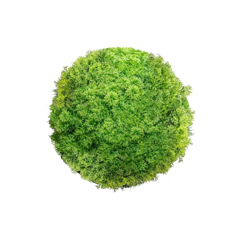 Pianta Decorativa   Sfera Muschio 20 x 20 x 20 cm