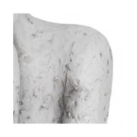 Busto Argilla Donna 35 x 28 x 54 cm