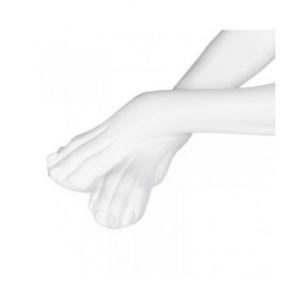 Statua Decorativa Bianco Cane 18 x 12,5 x 37 cm