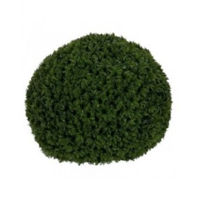Pianta Decorativa Verde PVC 38 x 38 cm