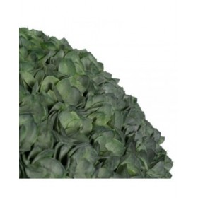 Pianta Decorativa Verde PVC 38 x 38 cm