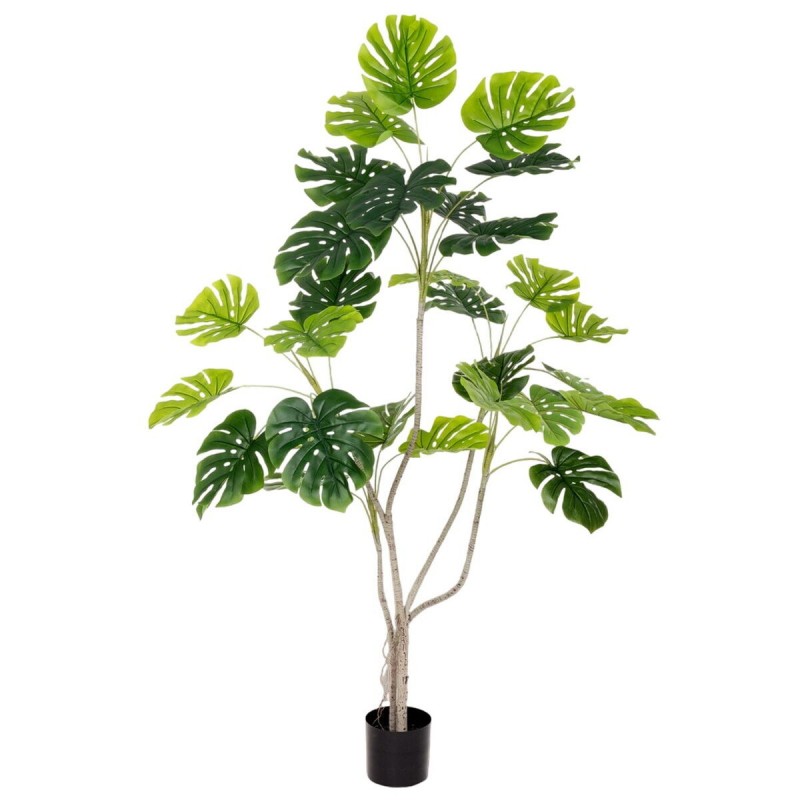 Pianta Decorativa Poliuretano Cemento Monstera 180 cm
