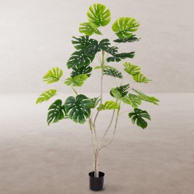 Pianta Decorativa Poliuretano Cemento Monstera 180 cm