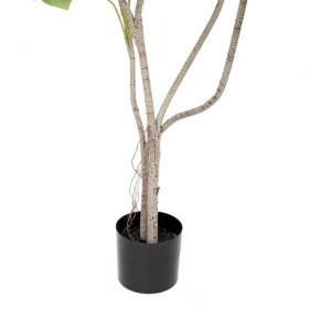 Pianta Decorativa Poliuretano Cemento Monstera 180 cm