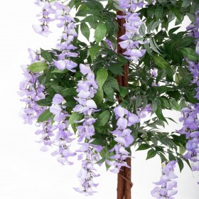Pianta Decorativa Cemento Tessuto 150 cm