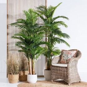 Pianta Decorativa 100 x 130 x 210 cm Verde PVC Palma