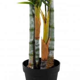 Pianta Decorativa 100 x 130 x 210 cm Verde PVC Palma