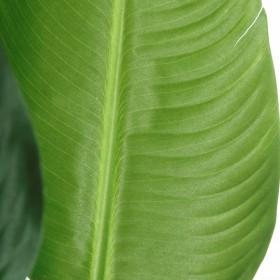 Pianta Decorativa PVC Ferro Uccello del Paradiso 150 cm