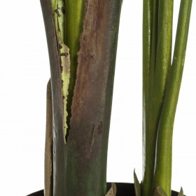Pianta Decorativa PVC Ferro Uccello del Paradiso 150 cm