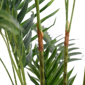 Pianta Decorativa Areca Verde PVC 150 cm Palma