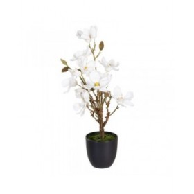 Pianta Decorativa Poliestere Polietilene Ferro 30 x 30 x 60 cm Magnolia