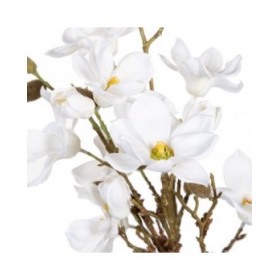 Pianta Decorativa Poliestere Polietilene Ferro 30 x 30 x 60 cm Magnolia