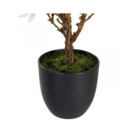 Pianta Decorativa Poliestere Polietilene Ferro 30 x 30 x 60 cm Magnolia
