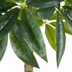 Pianta Decorativa 54 x 52 x 120 cm Verde PVC