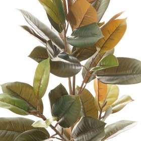 Pianta Decorativa PVC Ferro Ficus 36 x 37 x 90 cm