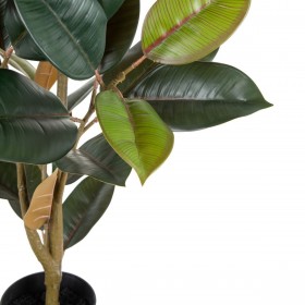 Pianta Decorativa PVC Ferro Ficus 49 x 45 x 125 cm