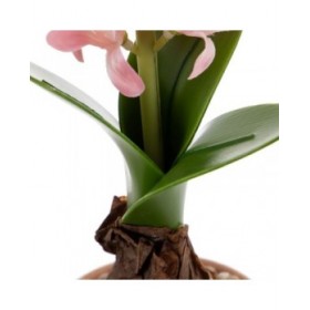 Pianta Decorativa Poliestere Polietilene Ferro Melammina 9,5 x 9,5 x 29 cm
