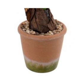 Pianta Decorativa Poliestere Polietilene Ferro Melammina 9,5 x 9,5 x 29 cm
