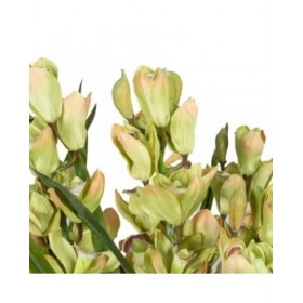 Pianta Decorativa Bambù Polietilene Ferro Cemento Tessuto 45 x 45 x 110 cm