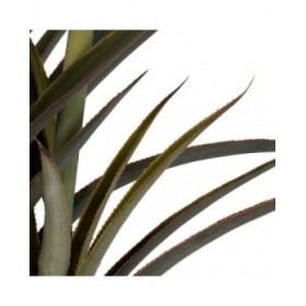 Pianta Decorativa Bambù Polietilene Ferro Cemento 45 x 45 x 100 cm