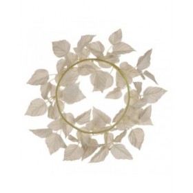 Corona