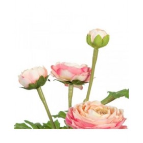 Pianta Decorativa Poliestere Polietilene Ferro Fiore 11 x 11 x 36 cm