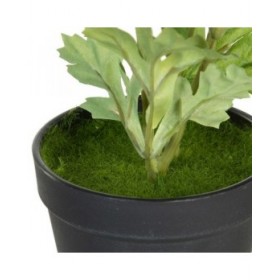 Pianta Decorativa Poliestere Polietilene Ferro Fiore 11 x 11 x 36 cm