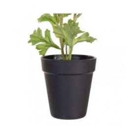 Pianta Decorativa Poliestere Polietilene Ferro Fiore 9,5 x 9,5 x 29 cm