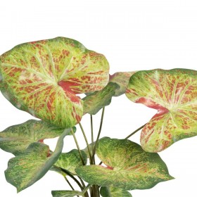 Pianta Decorativa 48 x 46 x 55 cm Rosso Verde PVC
