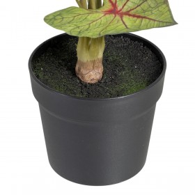 Pianta Decorativa Rosso Verde PVC 40 x 35 x 55 cm