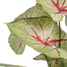 Pianta Decorativa Rosso Verde PVC 40 x 35 x 55 cm