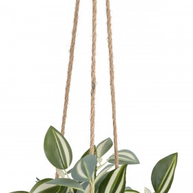 Pianta Decorativa 24 x 35 x 25 cm Bianco Verde PVC