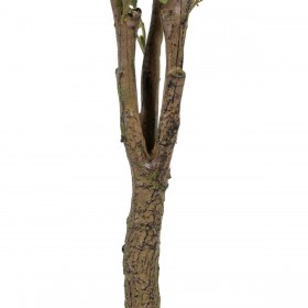 Pianta Decorativa 80 x 75 x 173 cm Verde PVC Eucalipto