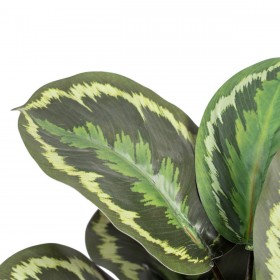 Pianta Decorativa 37 x 37 x 41 cm Verde PVC