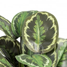 Pianta Decorativa 37 x 37 x 41 cm Verde PVC