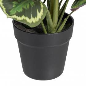 Pianta Decorativa 37 x 37 x 41 cm Verde PVC
