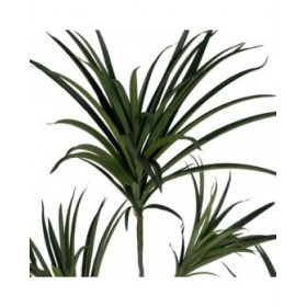 Pianta Decorativa Gomma polipropilene 90 X 90 X 220 CM