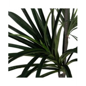 Pianta Decorativa Gomma polipropilene 90 X 90 X 220 CM
