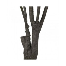 Pianta Decorativa Gomma polipropilene 90 X 90 X 220 CM