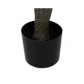 Pianta Decorativa Gomma polipropilene 90 X 90 X 220 CM