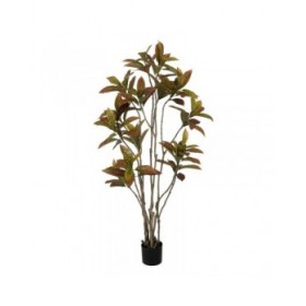 Pianta Decorativa Gomma polipropilene 60 x 60 x 150 cm