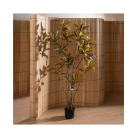 Pianta Decorativa Gomma polipropilene 60 x 60 x 150 cm