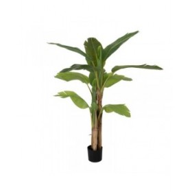 Pianta Decorativa Gomma 90 X 90 X 125 CM