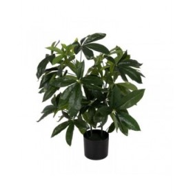 Pianta Decorativa 50 X 50 X 70 CM