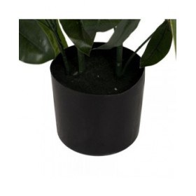 Pianta Decorativa 50 X 50 X 70 CM
