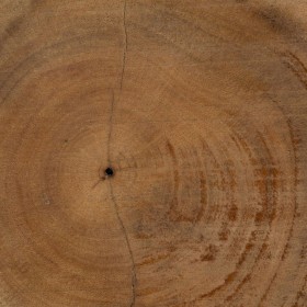 Statua Decorativa 22 x 22 x 39 cm Naturale Nero