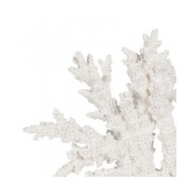 Statua Decorativa Bianco Resina Corallo 34 X 13 X 27 CM