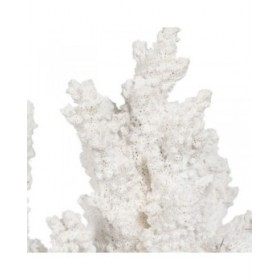 Statua Decorativa Bianco Resina Corallo 34 X 13 X 27 CM