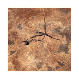 Tavolino da Caffè Nero Naturale 80 x 80 x 45 cm